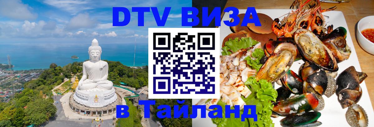 Оформление DTV визы под ключ: стоимость и тарифы, только загранпаспорт - Новочеркасск  21.11.2025 